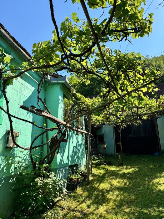 Casa de vanzare Gura Raului