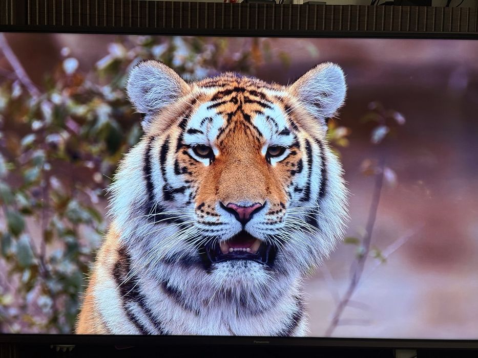 Продам телевизор Panasonic 50 Ultra Hd 4k Pro FX750