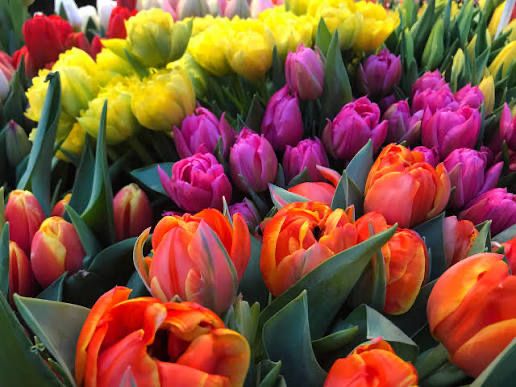 Цветы тюльпаны розы