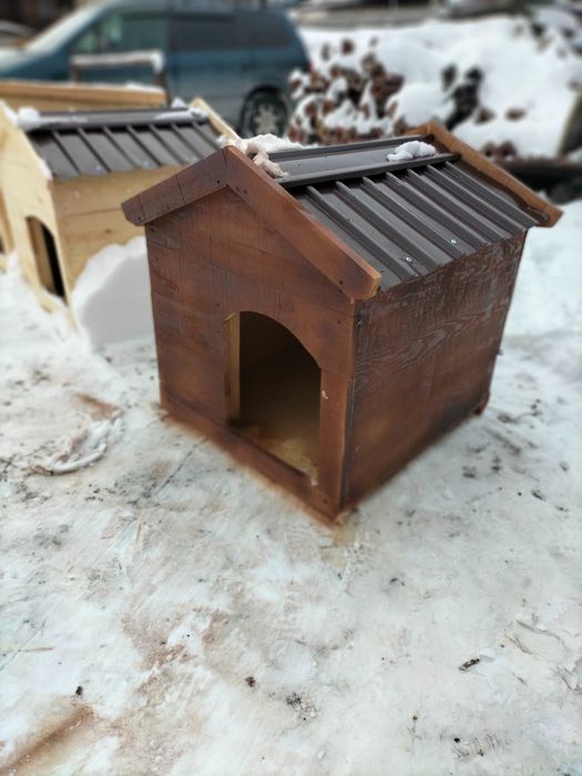 Бутки для собачий