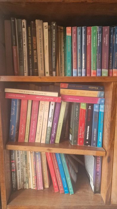 Biblioteca carti loturi