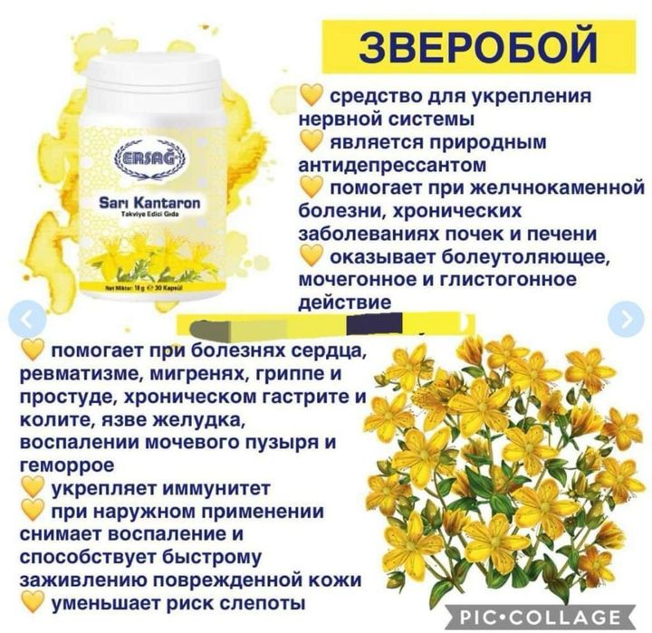 Зверобой от ERSAG