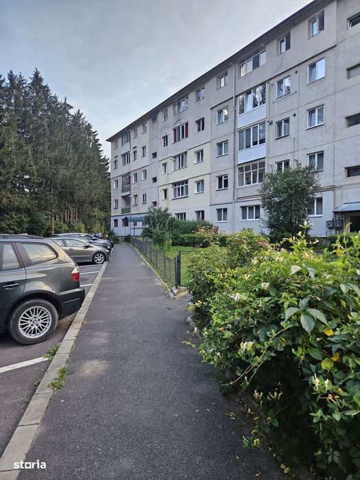 2 Camere, et 1/4, Platou Izvor