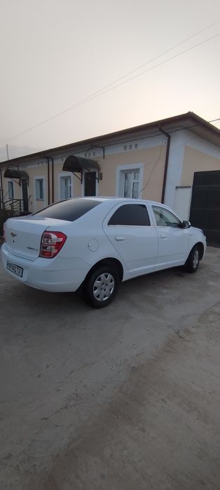 Cobalt lt кобалт 2019 ноябр