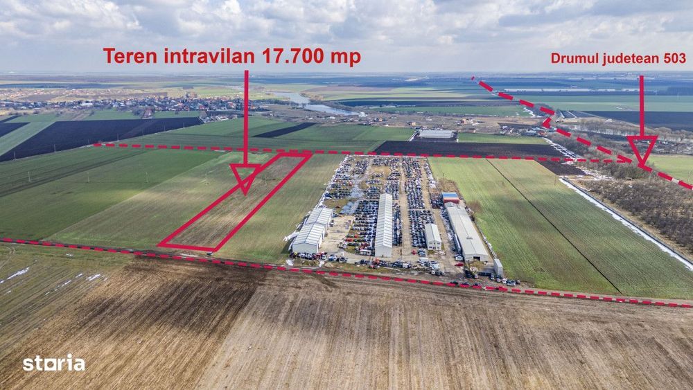 Teren intravilan Belciugatele*300 m de DN*Linie de tensiune medie*Plat