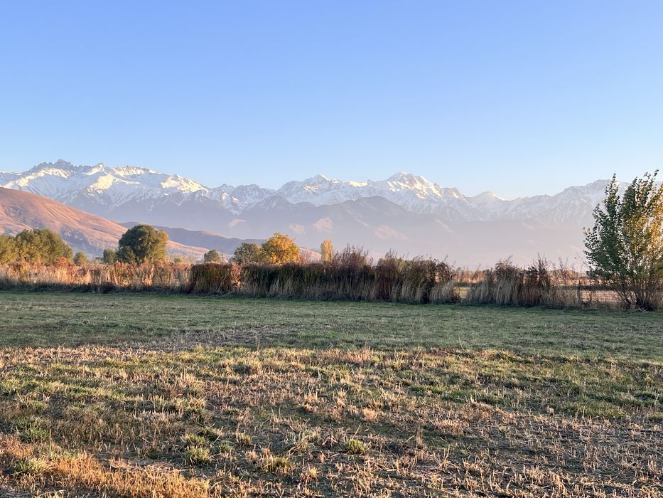 Земельный участо 0.5 га