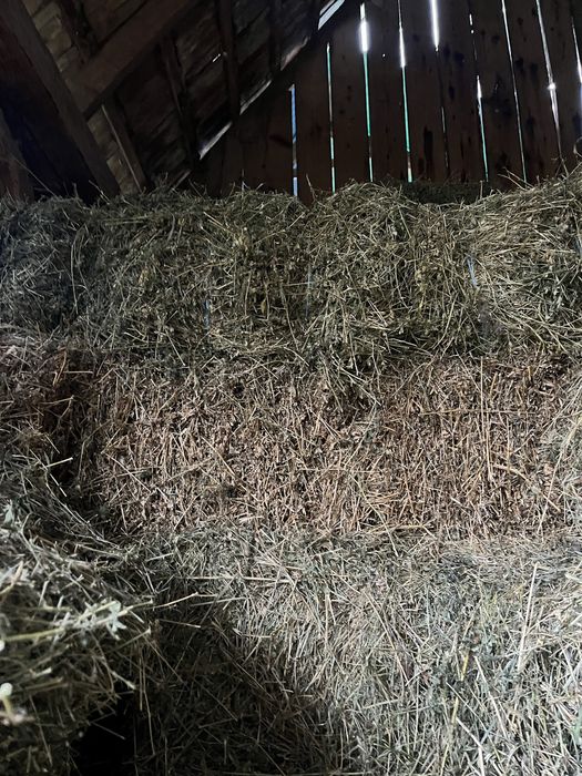 Vand baloti de lucerna