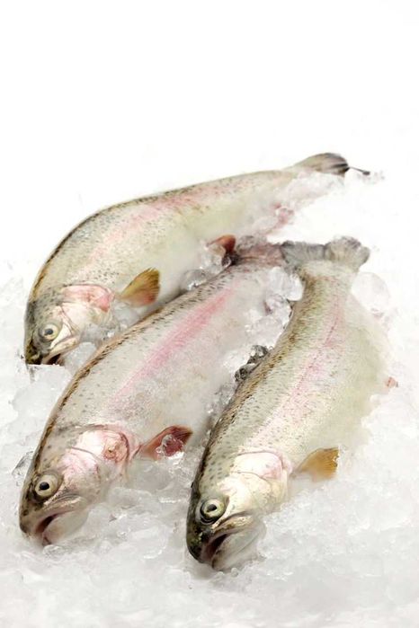 Форель свежая и замороженная