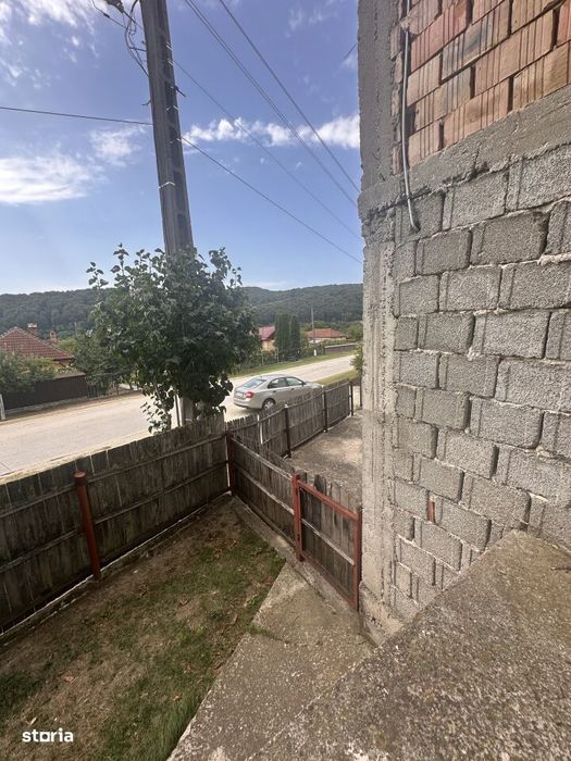 Casa/Spatiu Comercial - Genuneni