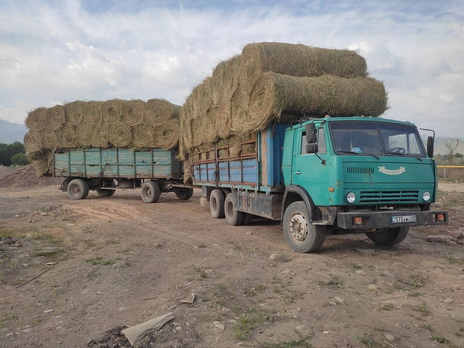 Сено в рулонах жоңышқа
