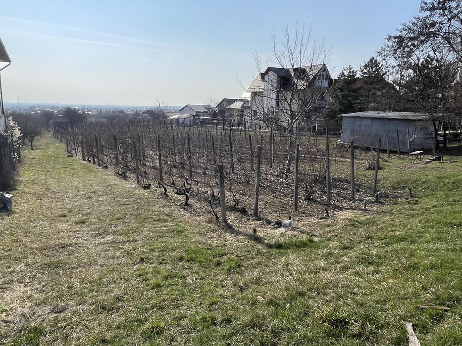 Teren Intravilan Blejoi /1900mp