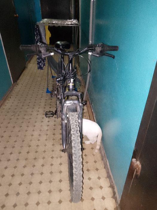 Велосипед скоростной