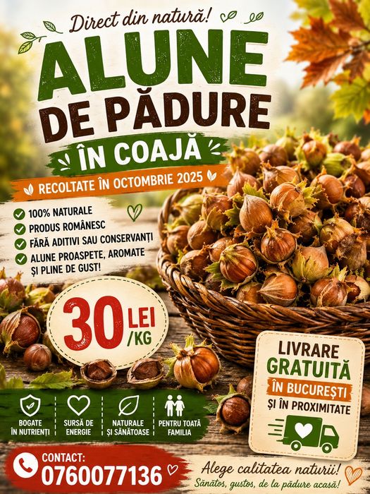 ALUNE DE PĂDURE ÎN COAJĂ 
Recoltă 2025 • Naturale • Proaspete