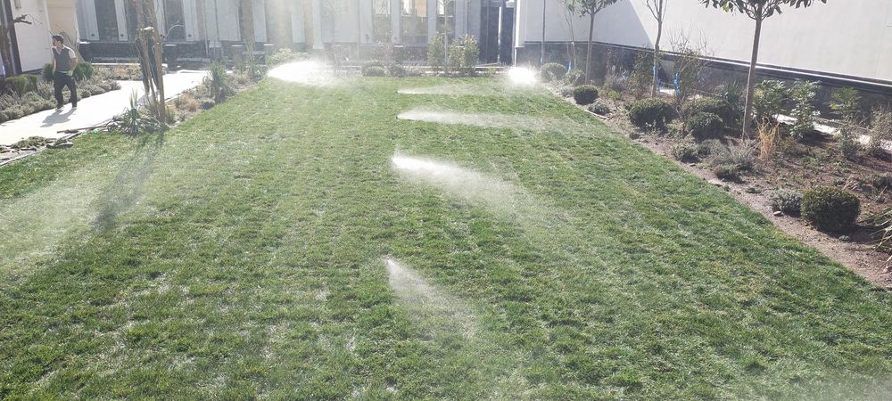 Gazon ekamiz yotgizamiz