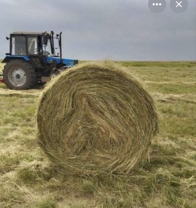 Сено в рулонах Житикаринский район