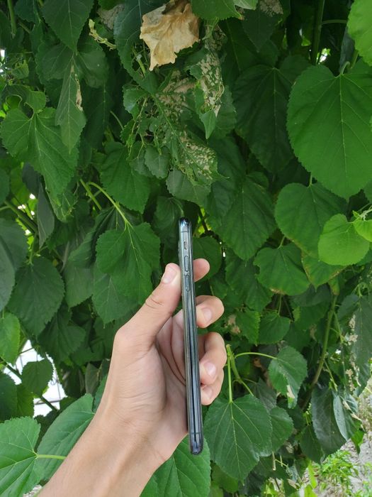 Iphone 11 pro max+galofka org