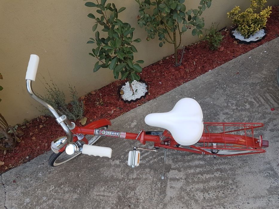 Bicicleta Pegas Practic