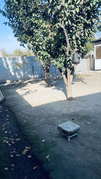 Uchastok sotiladi 11 sotix 5 ta honasi bor