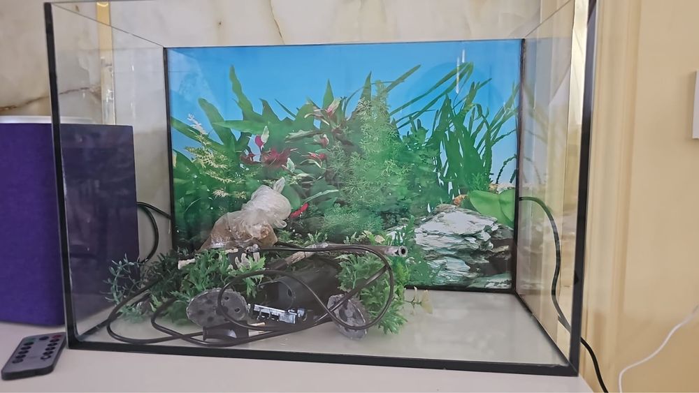 Аквариум продается