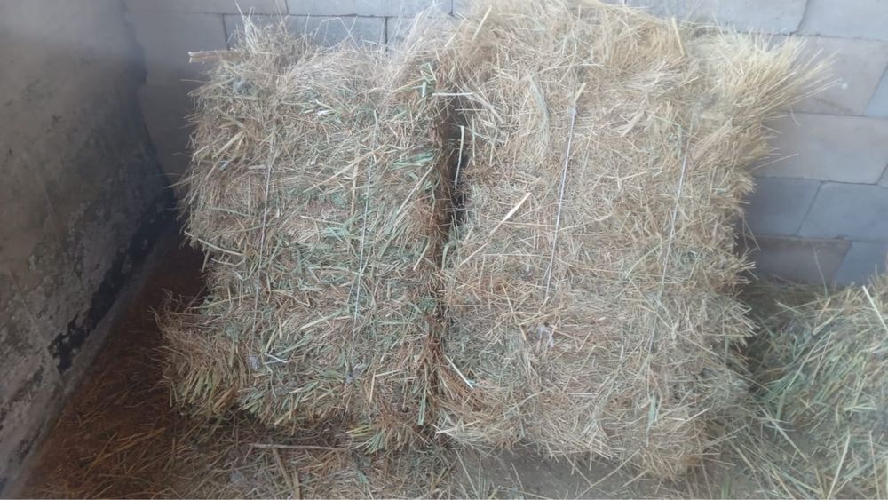 Сено разнотравье