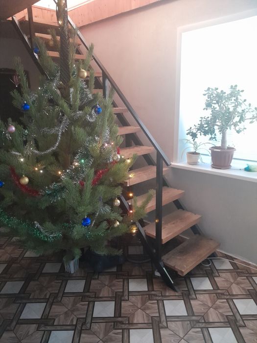 Девушки на подселение