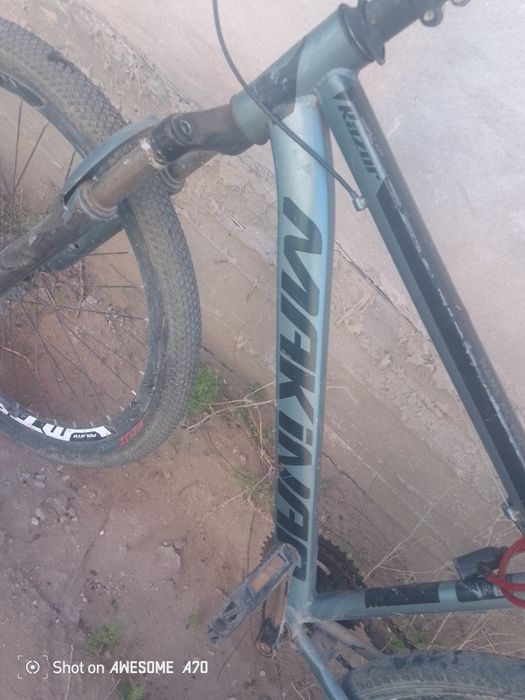 Велик сатылады 40к падарка барыс велик