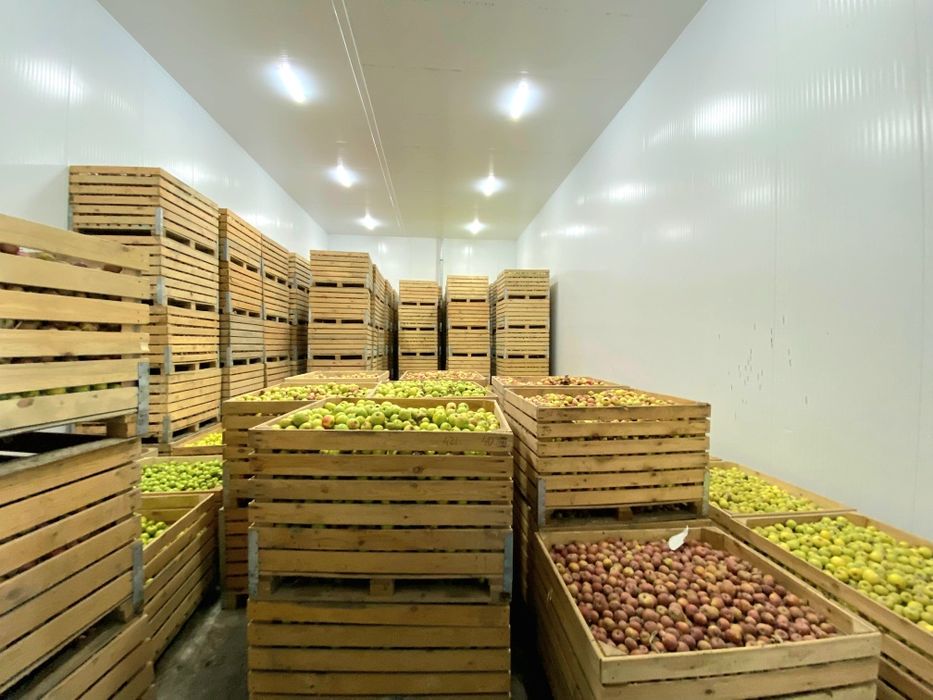 Фруктохранилище действующее.