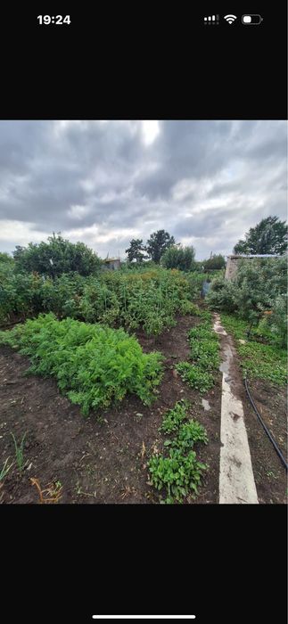 Продам дачу с/о Вишенка, рядом с Гудком