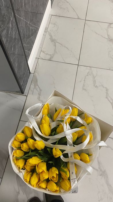 Свежий тюльпан 35 шт