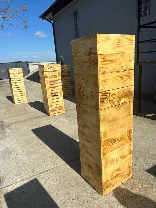 Stupi albine DADANT-  orice tip cu preturi începând de la 155 lei/buc.