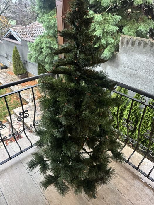 Коледна елха 1.60 м