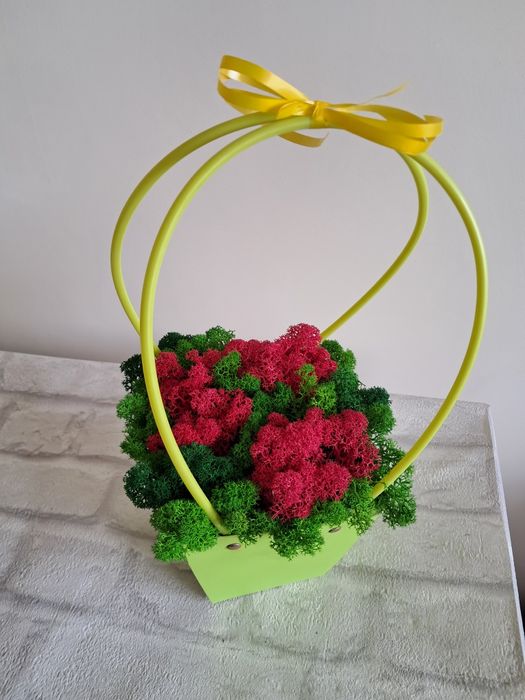 Кошнички със скандинавски мъх