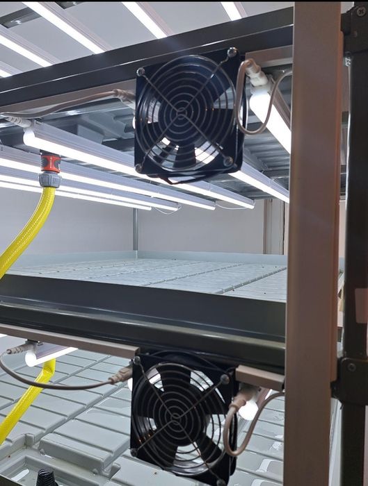 Sistem hidroponic microplante/afacere la cheie