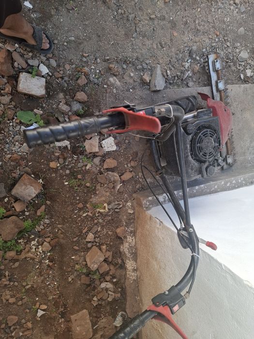 Vând cositoare motor brigs stration