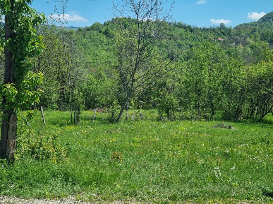 Teren in zona Calimanesti-Caciulata, cu iesire la parau