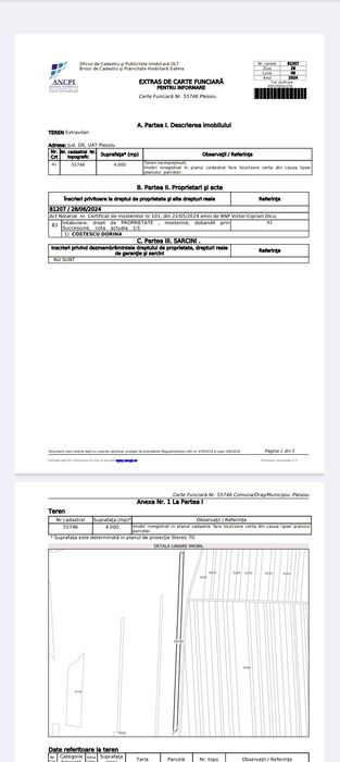 Teren extravilan Slatina Plesoiu