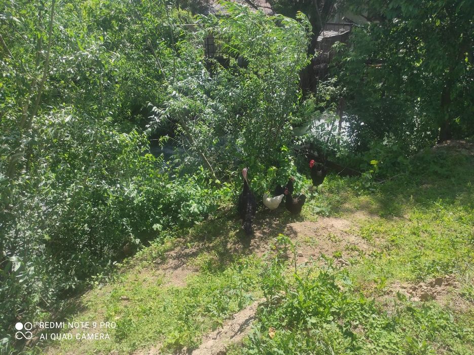 Продается участок с домом,сзади канал