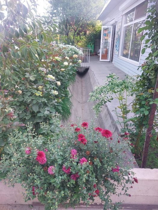 Сдам помешение под бизнес