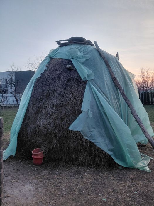 Fân de vânzare  urgent