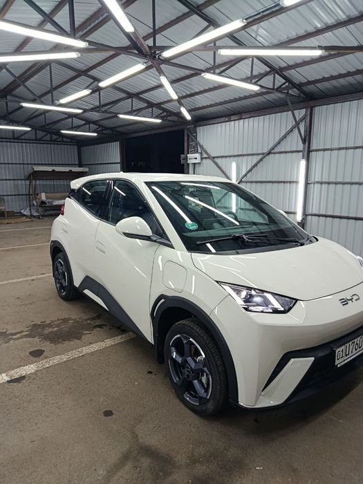 BYD Seagull 2024-25 srochno