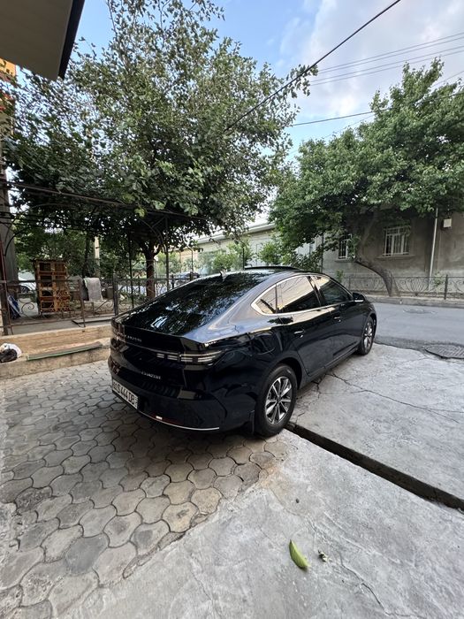 Byd chazor 55 taliy kraska tozza