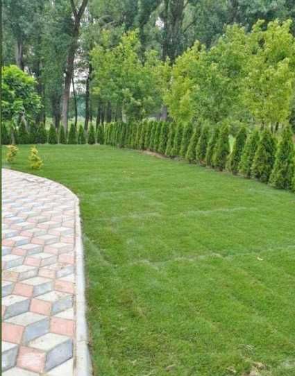 Gazon Rulou, Sisteme de irigare Plante Ornamentale