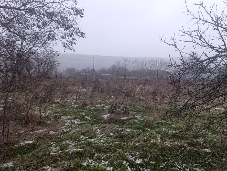 Teren  la tara 2500 m2