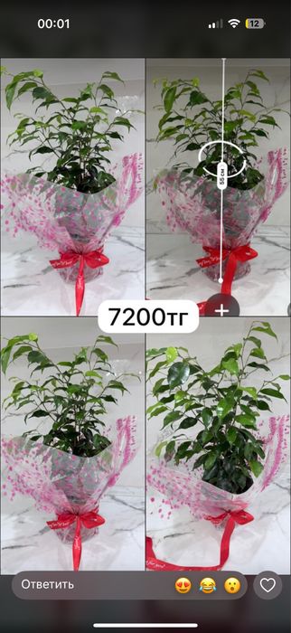 7200 цветы на 1 сентябрь