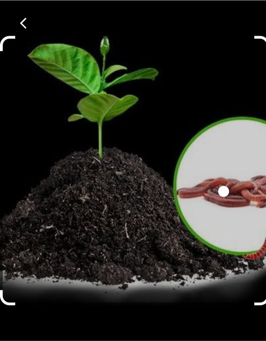 "Биогумус"натуральные экологический чистый органические продукт