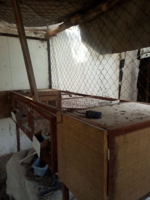 Клетки для кроликов