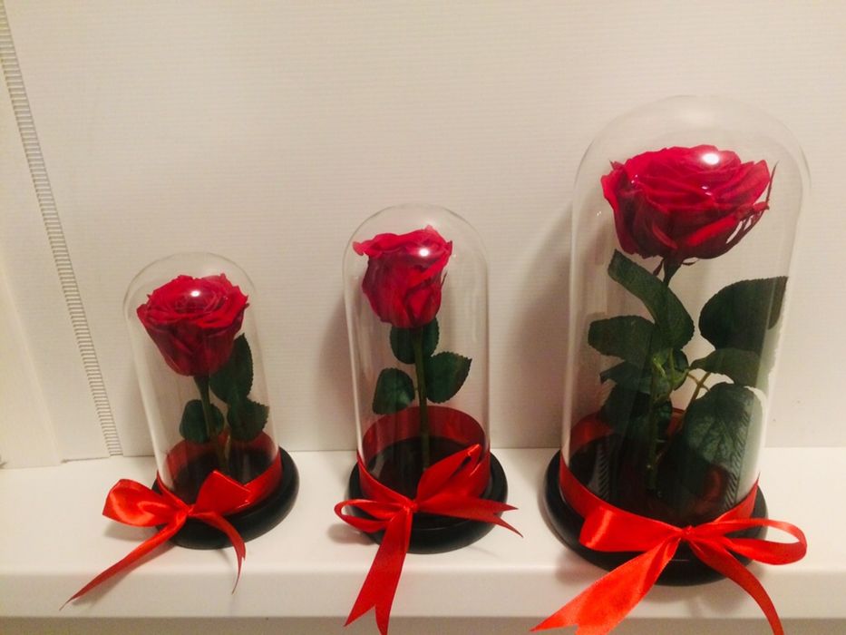 Cadou criogenat conservat in cupola cristalina