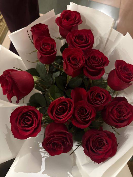 Цветы розы красивые