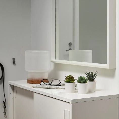 Искусственные растения из ИКЕА