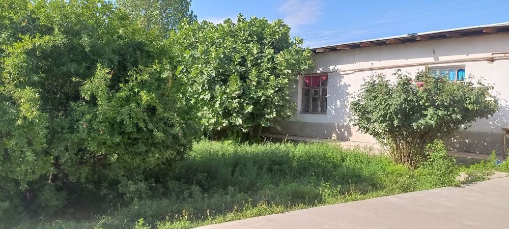 Ховли сотилади 22 сутк